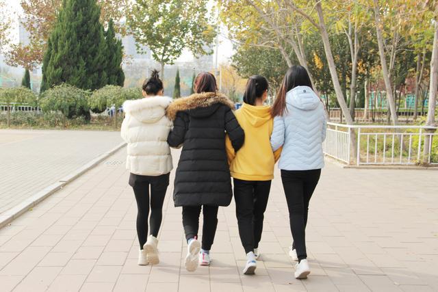 2024新澳门原料网