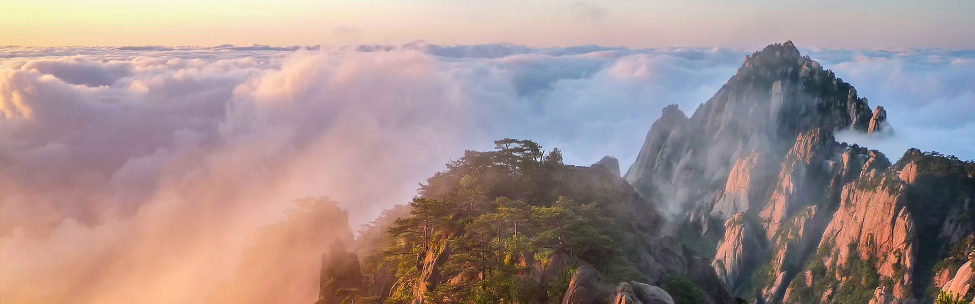 2024新澳门原料网