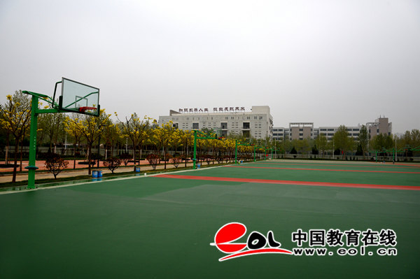 2024新澳门原料网