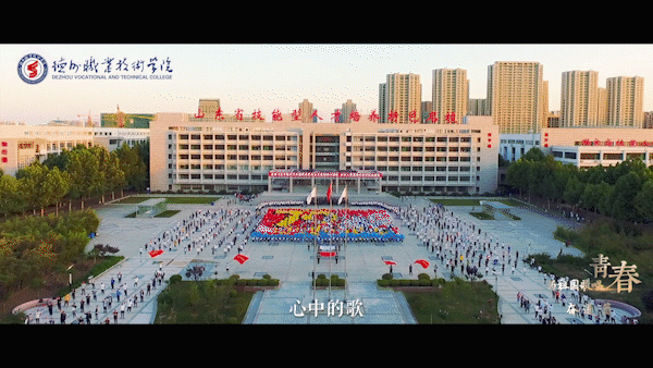 2024新澳门原料网