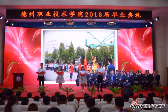 2024新澳门原料网
