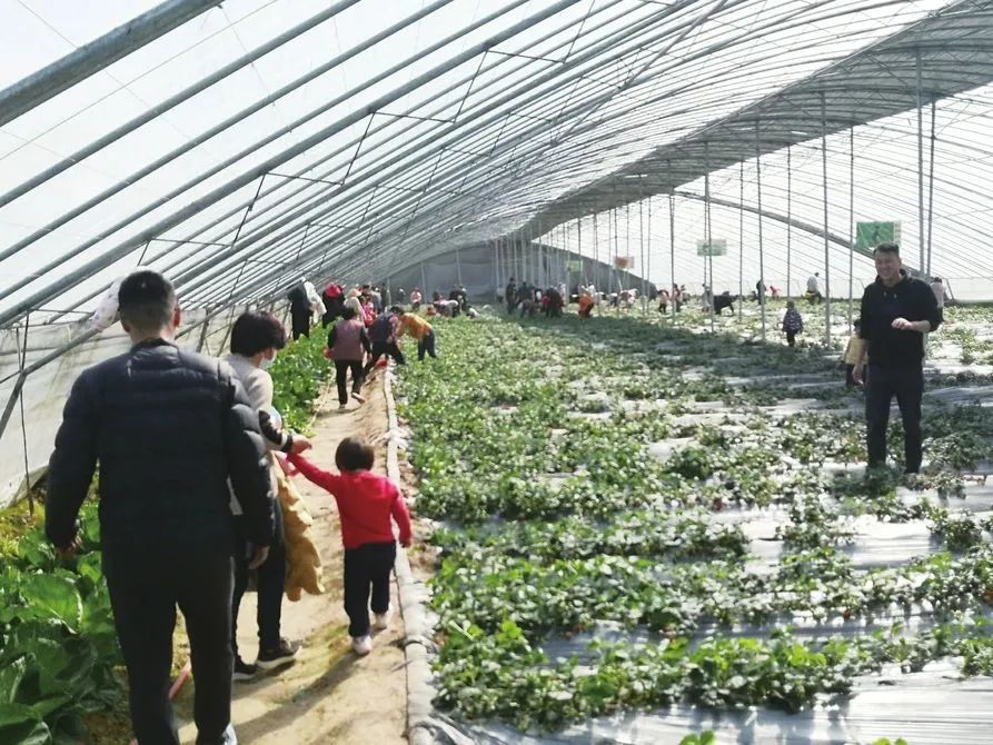 2024新澳门原料网