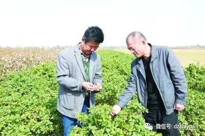 2024新澳门原料网