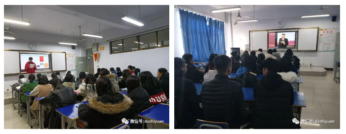 2024新澳门原料网
