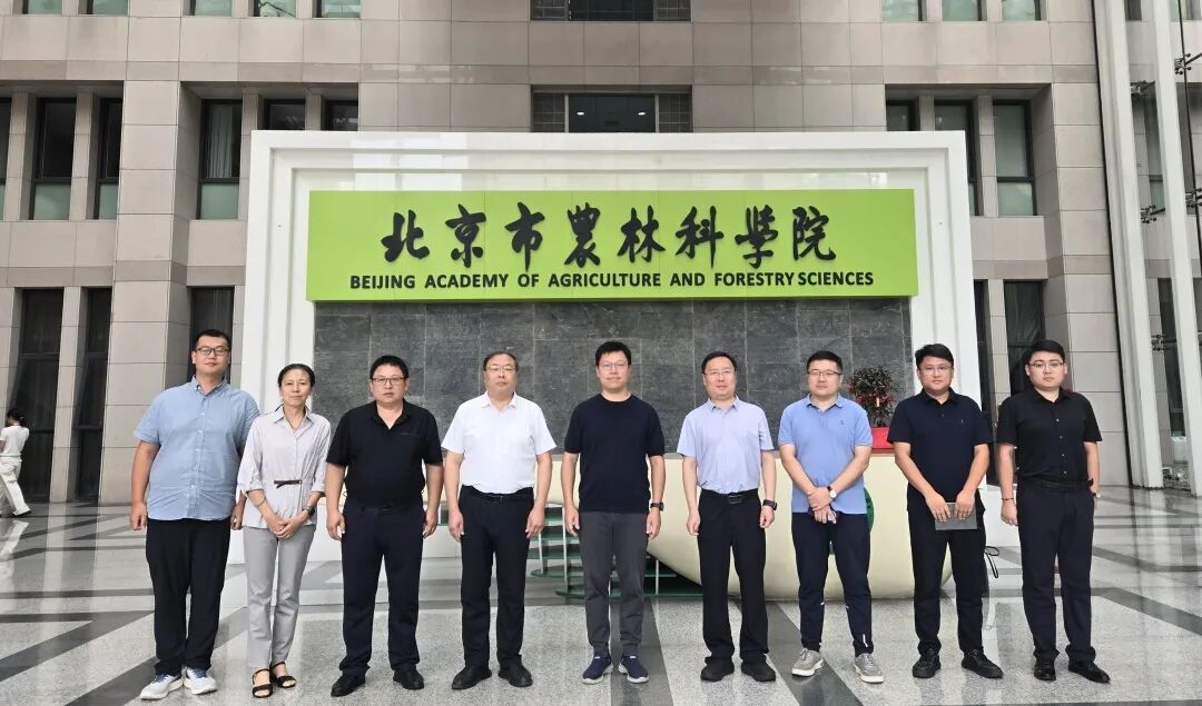 2024新澳门原料网